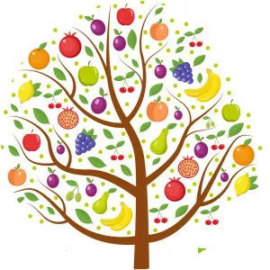 Tu B'Shevat (Tu Bişvat)