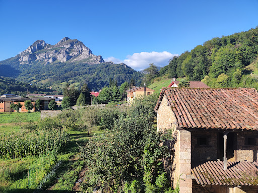Tu casita de la senda del oso - Lodging in Proaza, Spain