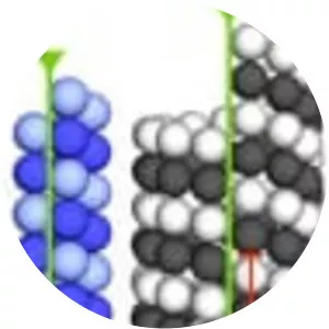 Tubulin - Protein