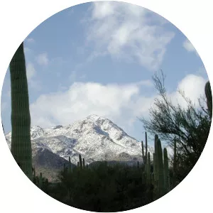 Tucson Mountains - Mountain range in Arizona