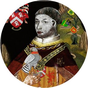 Tudur ap Goronwy photograph