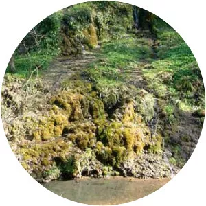 Tufa - Variety of rock