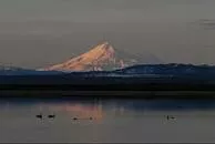 Tule Lake National Wildlife Refuge - 