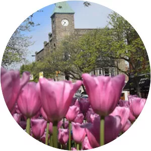 Tulip Time Festival - 