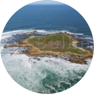 Tullaburga Island - Island in Australia