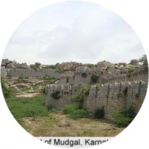 Tuluva Narasa Nayaka - Indian monarch