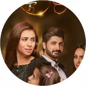 Tum Se Hi Talluq Hai