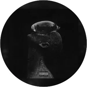 TumaniYO - Musical artist