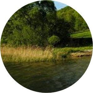 Tumiańskie - Lake in Poland