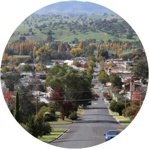 Tumut