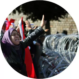 Tunisian Revolution - 