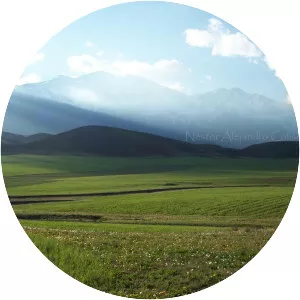 Tupungato Department