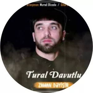 Tural Davutlu - Musical artist