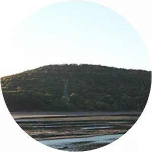 Turkey Mountain Urban Wilderness Area - 