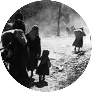 Turkish–Armenian War - 