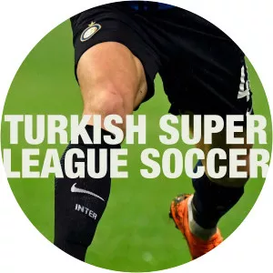 Turkish Super League SoccerSince 2014 - 2014 ‧ 2 seasons