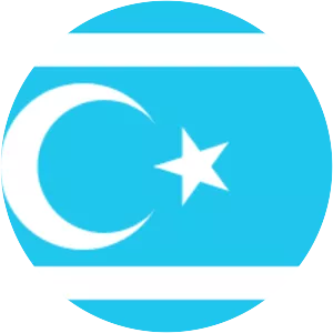 Turkmen Brigades