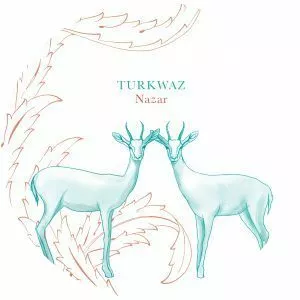 Turkwaz - Musical group