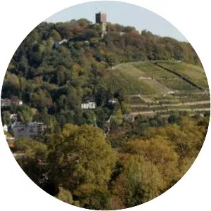 Turmberg