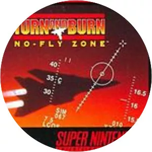 Turn and Burn: No-Fly Zone