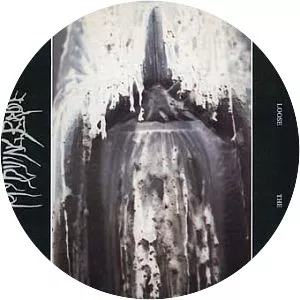 Turn Loose the Swans