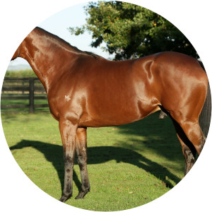 Turn Me Loose photograph