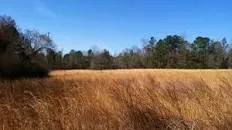Turnipseed Nature Preserve - 