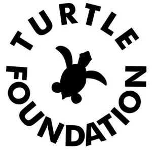 Turtle Foundation