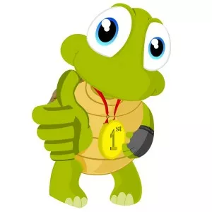 Turtle Interactive - Musical artist