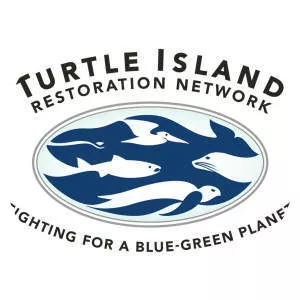 Turtle Island Restoration Network - Non-profit organization
