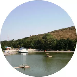 Turtle Lake - Lake in Georgia
