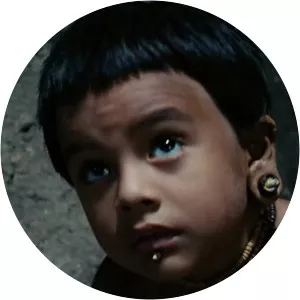 Turtles Run Apocalypto