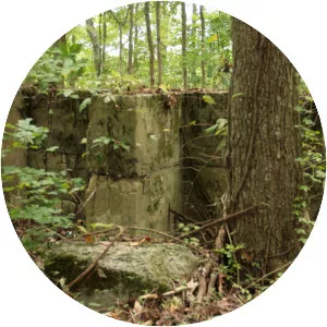 Tuscumbia Landing Site