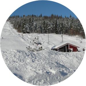 tusten skiheiser as vegårshei ski- og aktivitetssenter