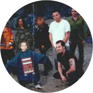 Twisted Brown Trucker