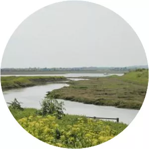 Two Tree Island - Island in England