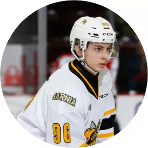 Ty Voit - Ice hockey player