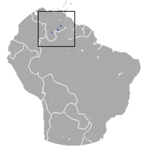 Tyler's mouse opossum