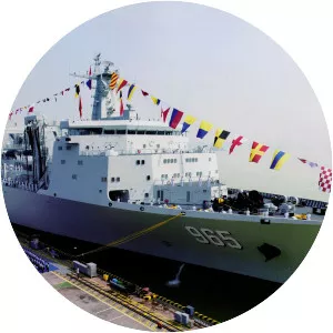 Type 901 fast combat support ship