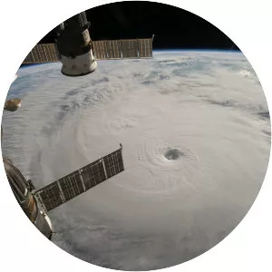 Typhoon Chaba - 2016 tropical cyclone