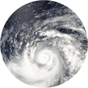 Typhoon Dianmu