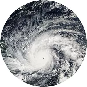 Typhoon Hagupit - 2014 tropical cyclone