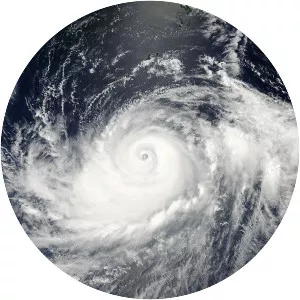 Typhoon Halong - 2014 tropical cyclone