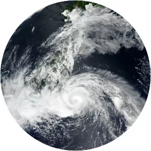 Typhoon Jongdari