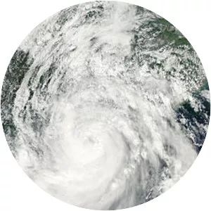 Typhoon Kalmaegi