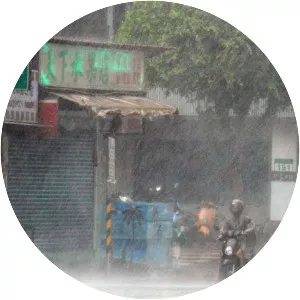 Typhoon Matmo - 2014 tropical cyclone