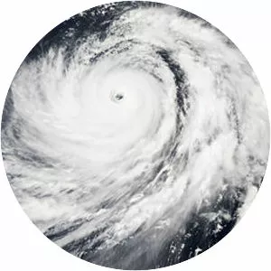 Typhoon Nabi - 2005 typhoon