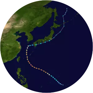 Typhoon Neoguri - 2014 tropical cyclone