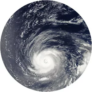 Typhoon Noru - 2017 tropical cyclone