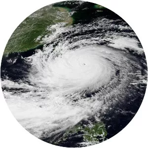 Typhoon